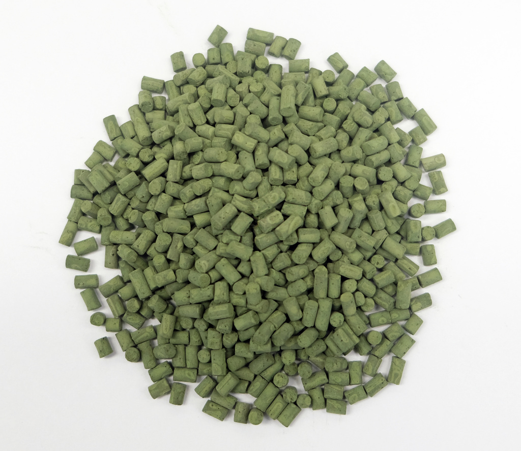 Фото после текста новости.JPG